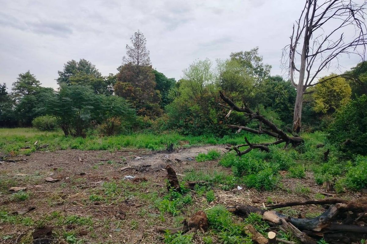 Vacant Land For Sale In Meyerton - Photo 4