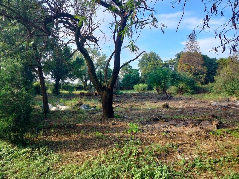 Vacant Land For Sale In Meyerton - Photo 6