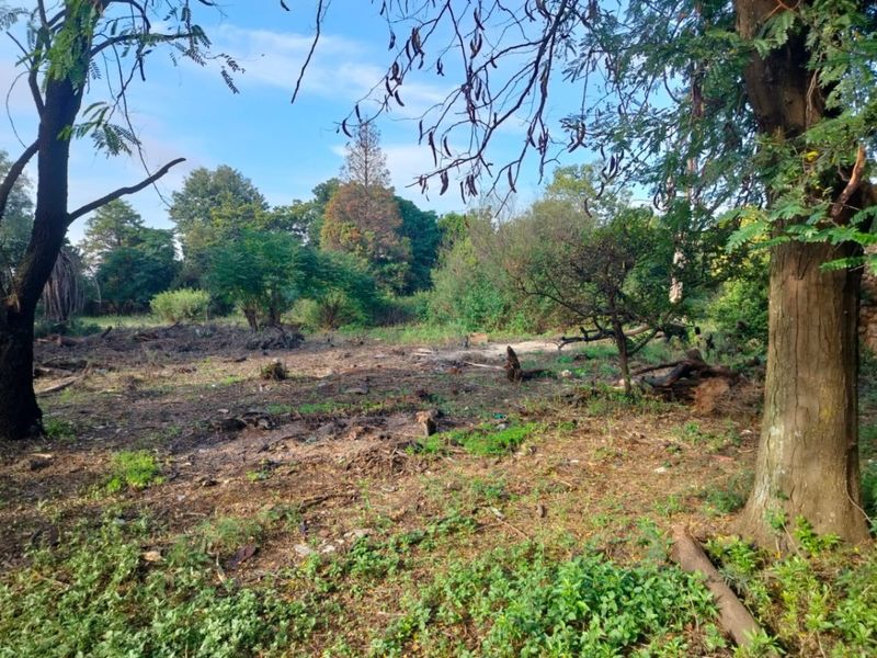 Vacant Land For Sale In Meyerton - Photo 7