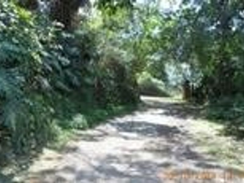 House For Sale In Amanzimtoti - Photo 10