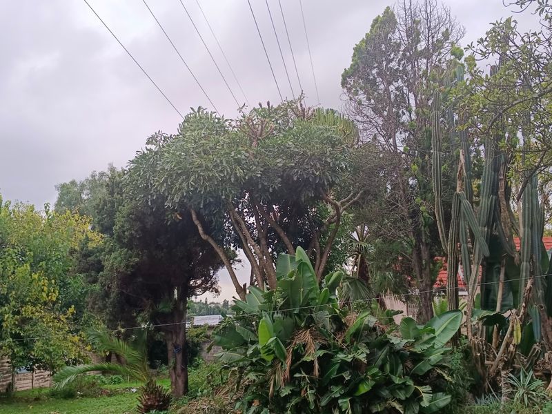 House For Sale In Johannesburg - Photo 3