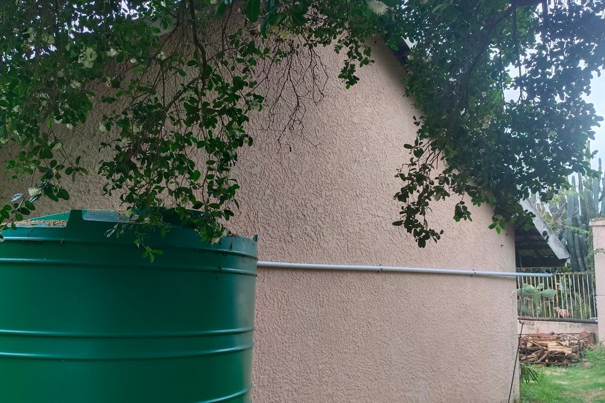 A view of the rear exterior wall featuring a large green water storage tank and established garden foliage.
