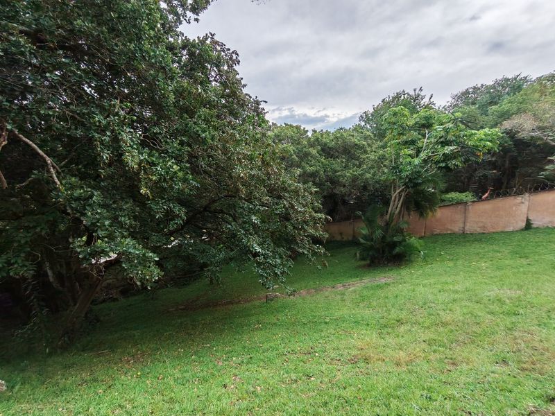 A spacious, sloped residential garden area featuring mature trees and a perimeter boundary wall.