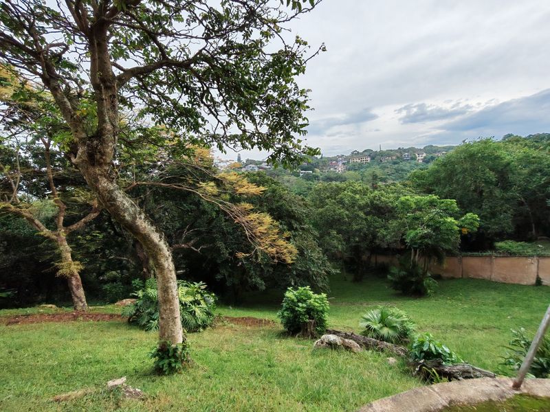 A lush, green residential garden featuring mature trees, well-maintained lawn, and a perimeter wall, offering a peaceful outdoor setting.