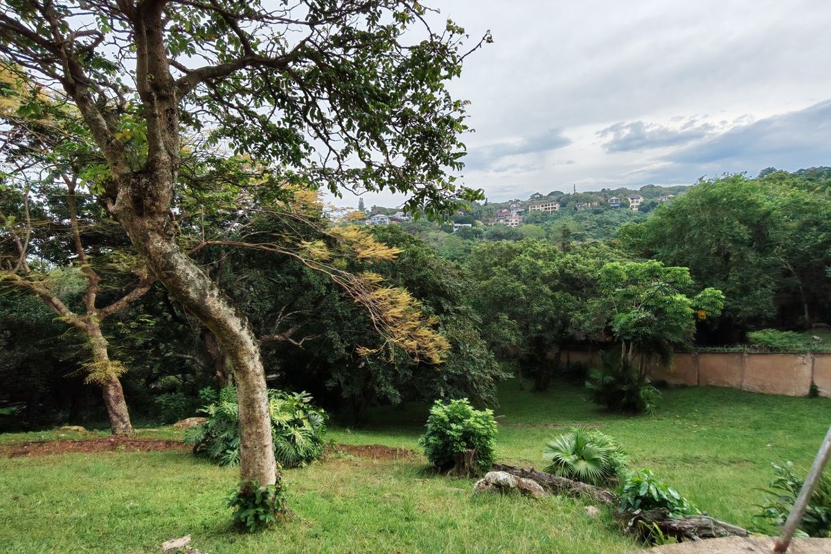 A lush, green residential garden featuring mature trees, well-maintained lawn, and a perimeter wall, offering a peaceful outdoor setting.