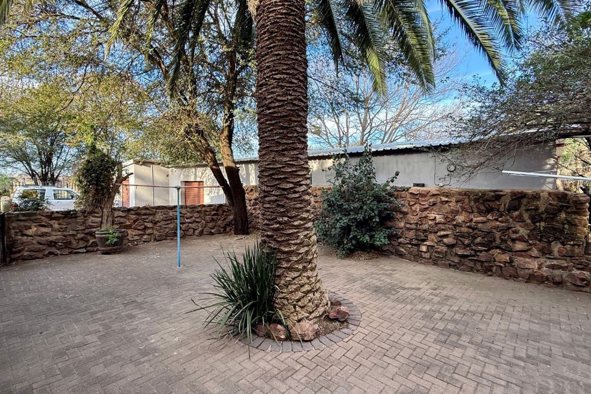 A paved rear courtyard area featuring a mature palm tree, stone boundary wall, and access to a secondary structure.