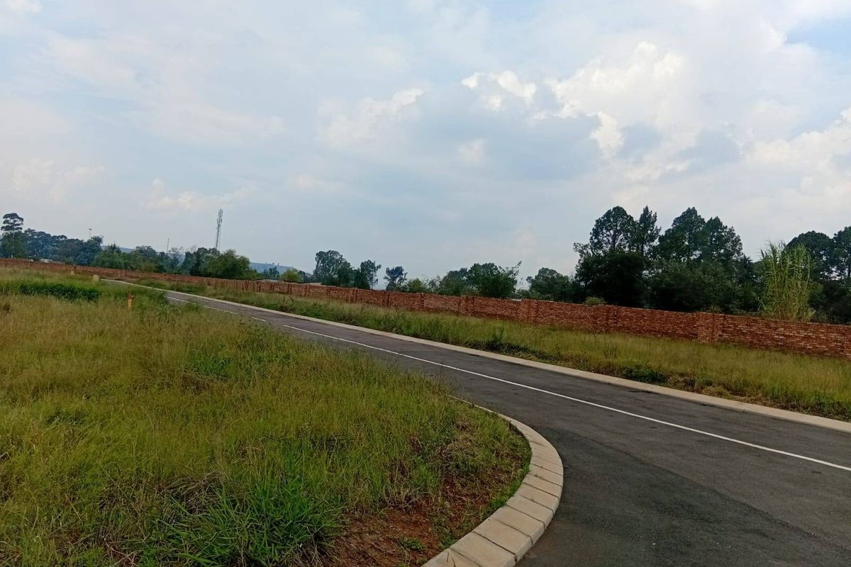 A view of a paved residential street with concrete curbing, bordered by open grass land and a perimeter brick boundary wall.