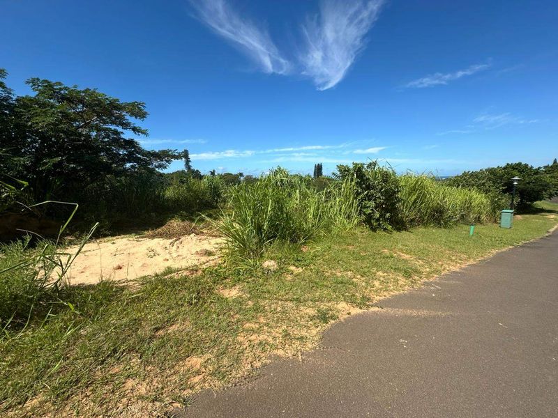 A view of a vacant residential plot from the adjacent paved road, featuring natural grass and vegetation.