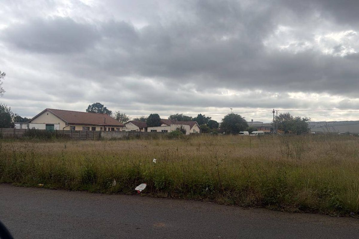 A vacant residential plot of land viewed from the adjacent asphalt road, featuring overgrown grass and a perimeter wall.