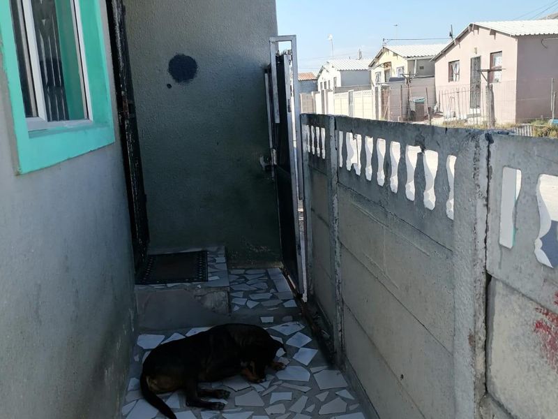 A narrow side passage or rear exterior area featuring tiled flooring and a precast concrete boundary wall.