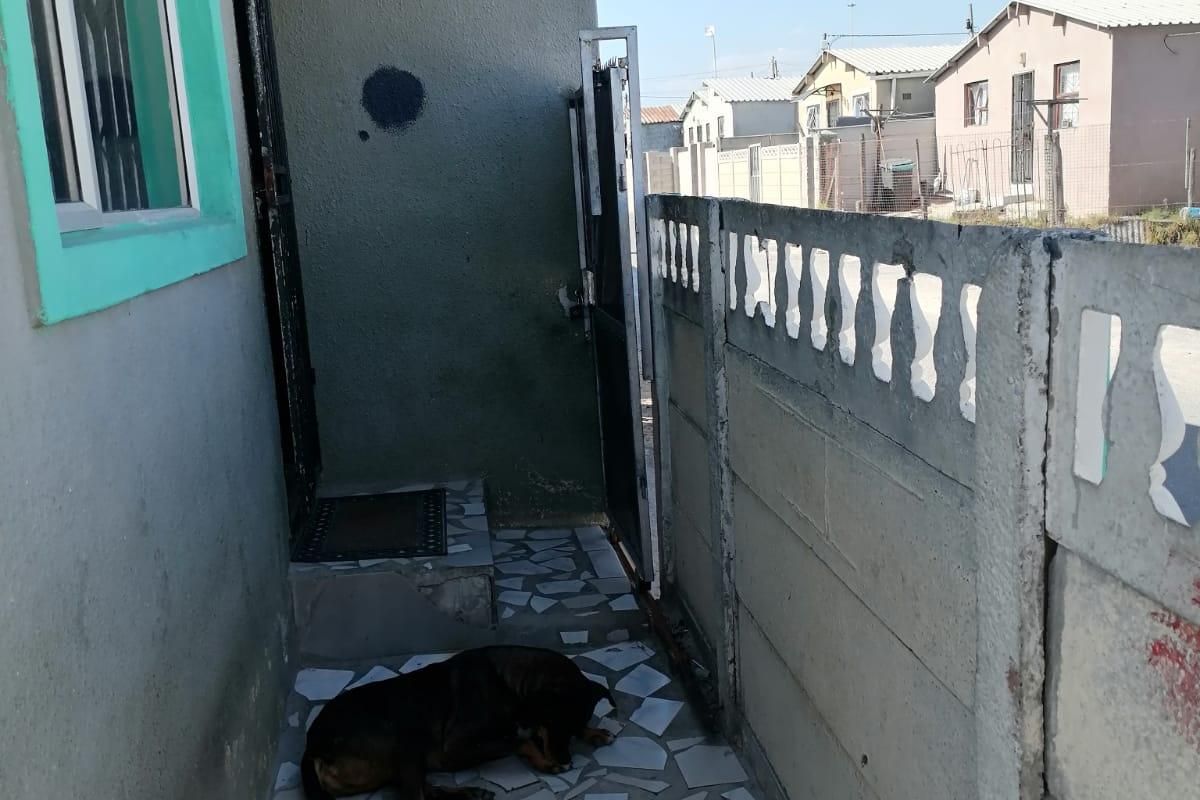 A narrow side passage or rear exterior area featuring tiled flooring and a precast concrete boundary wall.