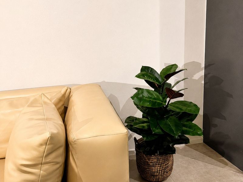 A corner view of a living area featuring neutral tiled flooring and a modern two-tone wall finish.