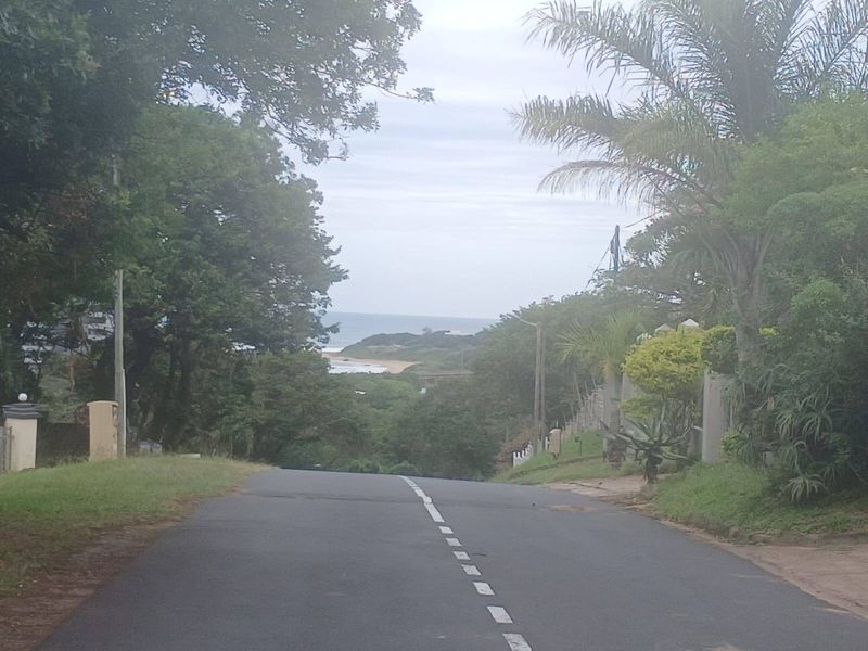 A street view looking down a paved road towards the coastline, surrounded by mature trees and coastal vegetation.