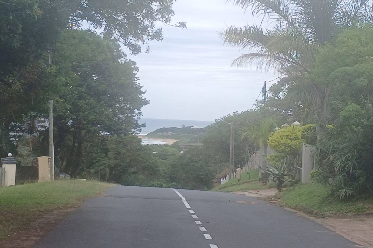A street view looking down a paved road towards the coastline, surrounded by mature trees and coastal vegetation.