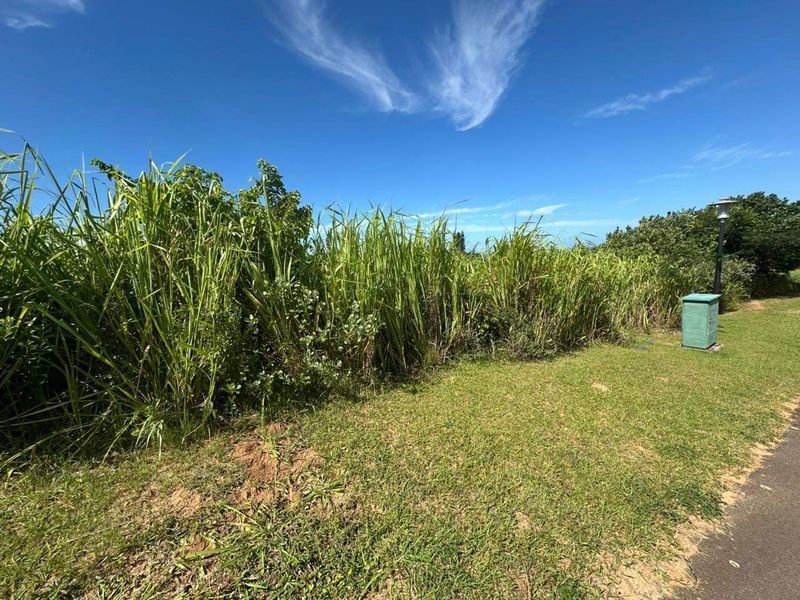 A view of a vacant residential plot featuring overgrown grass and vegetation, with a utility box and street lighting fixture visible on the site.