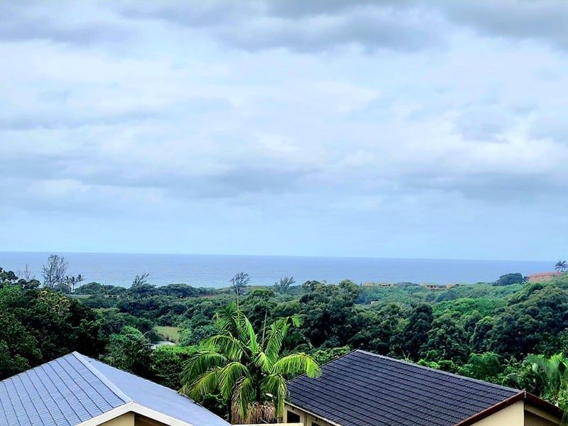 Elevated scenic view overlooking lush coastal greenery and the ocean horizon.