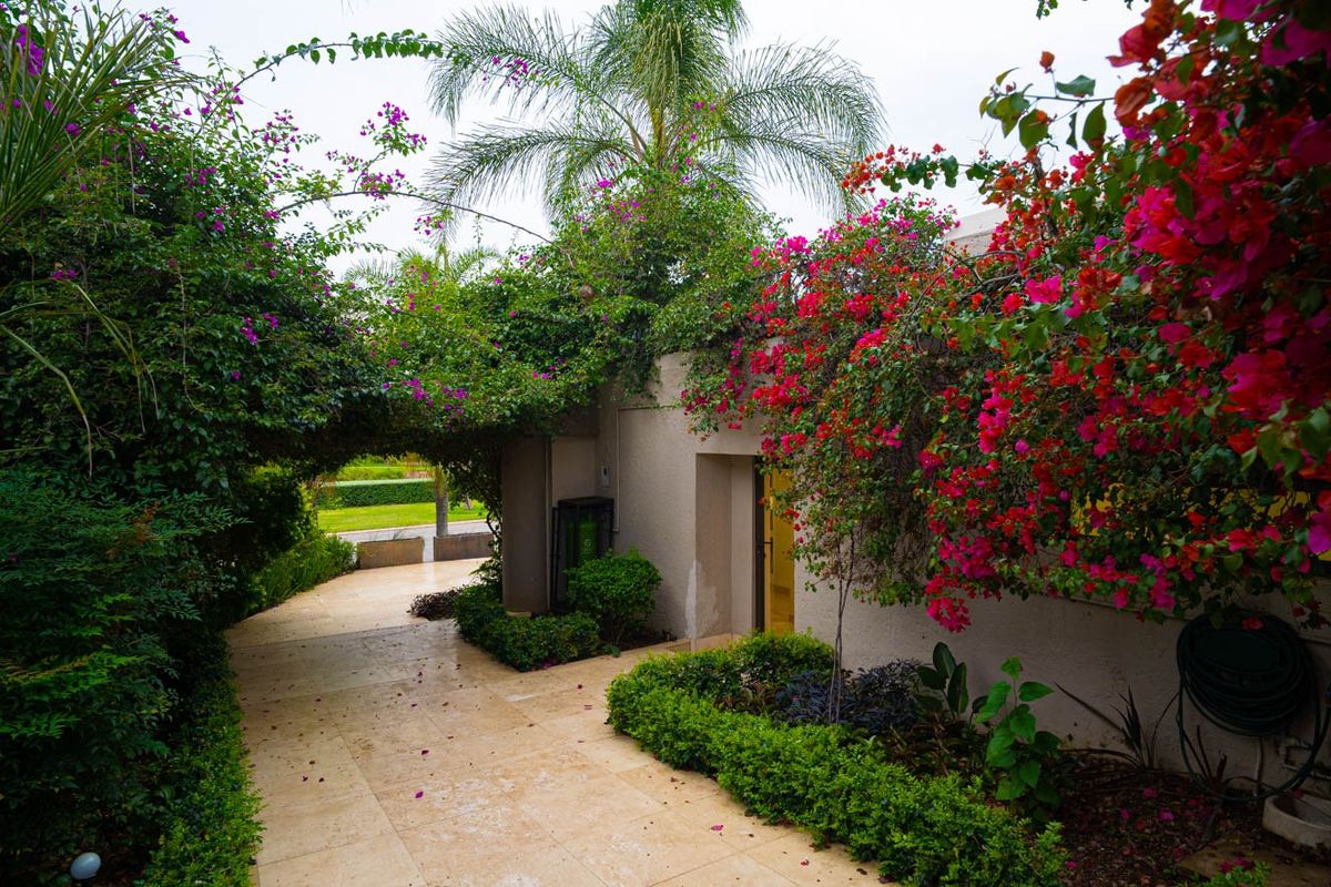 A beautifully landscaped rear garden path featuring stone paving and vibrant bougainvillea, creating a lush and inviting outdoor walkway.