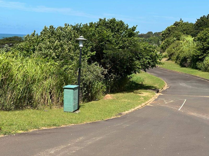 A view of the paved street frontage featuring a utility box and street lighting, surrounded by established greenery and coastal landscape.