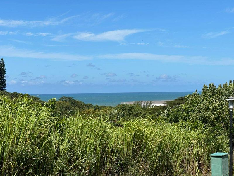 A scenic view overlooking lush coastal vegetation with the ocean visible in the distance under a clear blue sky.