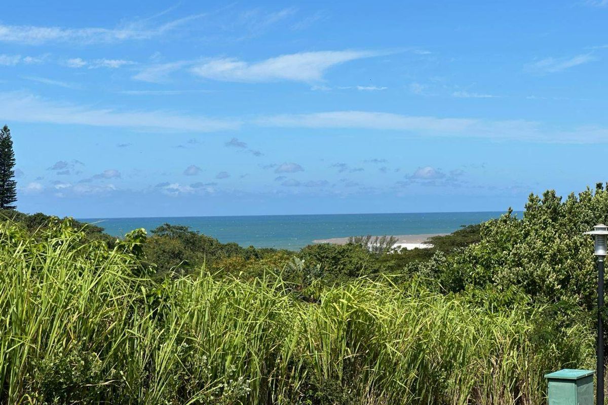A scenic view overlooking lush coastal vegetation with the ocean visible in the distance under a clear blue sky.