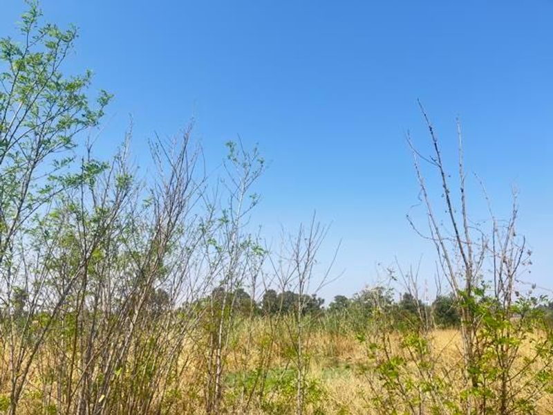 Vacant Land For Sale In Germiston - Photo 2