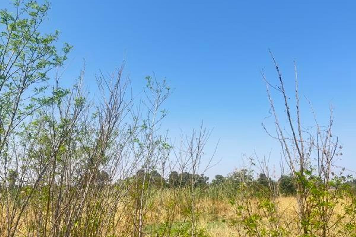 Vacant Land For Sale In Germiston - Photo 2