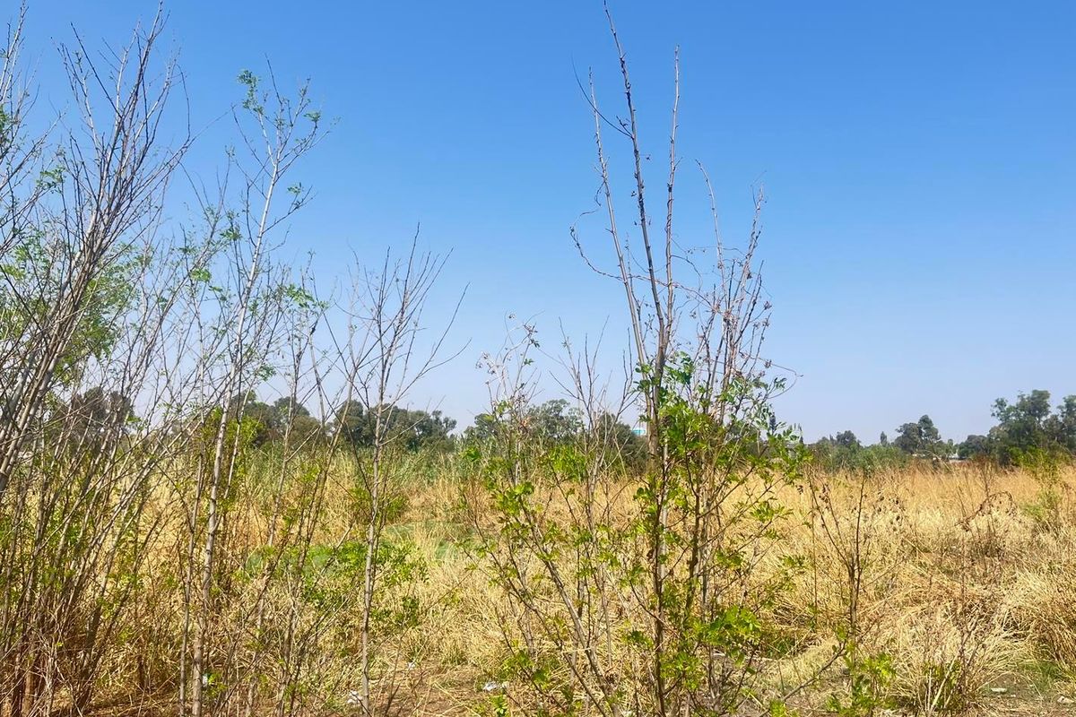 Vacant Land For Sale In Germiston - Photo 5
