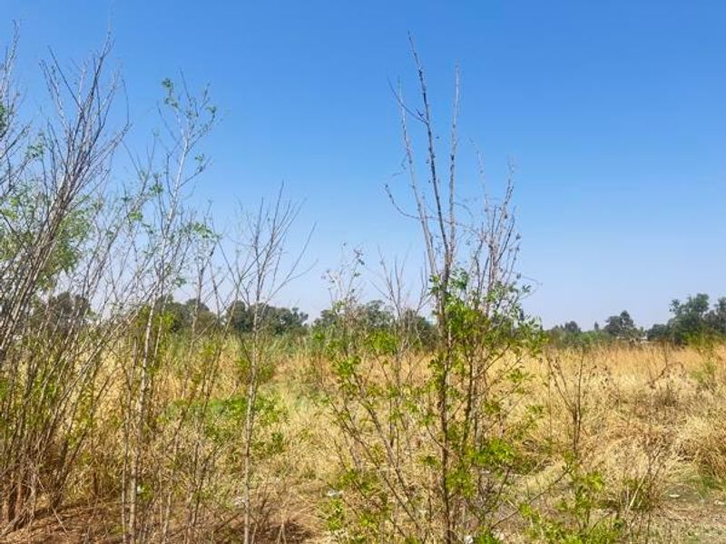 Vacant Land For Sale In Germiston - Photo 6