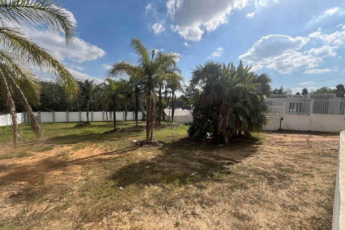 A spacious residential garden area featuring mature palm trees, perimeter walling, and open ground, offering potential for landscaping or development.