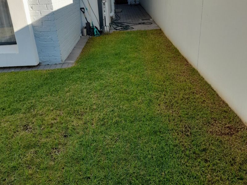 Apartment For Sale In Sandton - Photo 4