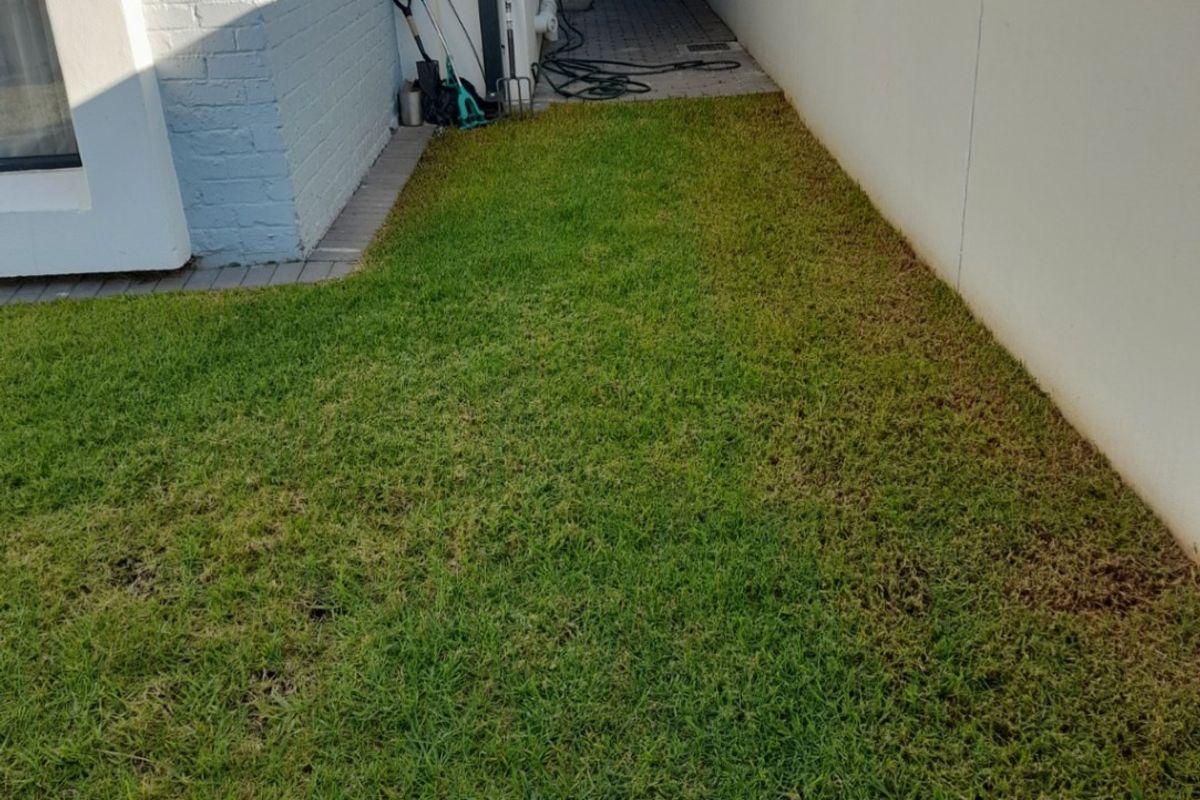 Apartment For Sale In Sandton - Photo 4