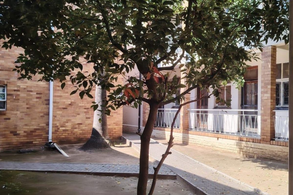A rear courtyard area featuring brick building facades, paved walkways, and established trees within an apartment complex setting.