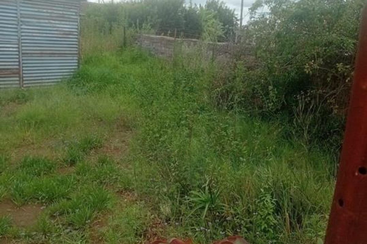 An overgrown residential plot featuring a corrugated metal shed and perimeter boundary wall, requiring significant landscaping and site clearance.