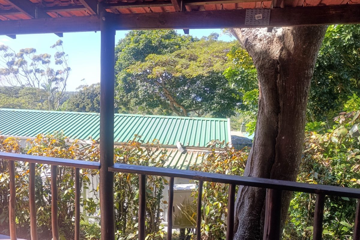 House For Sale In Southbroom - Photo 4