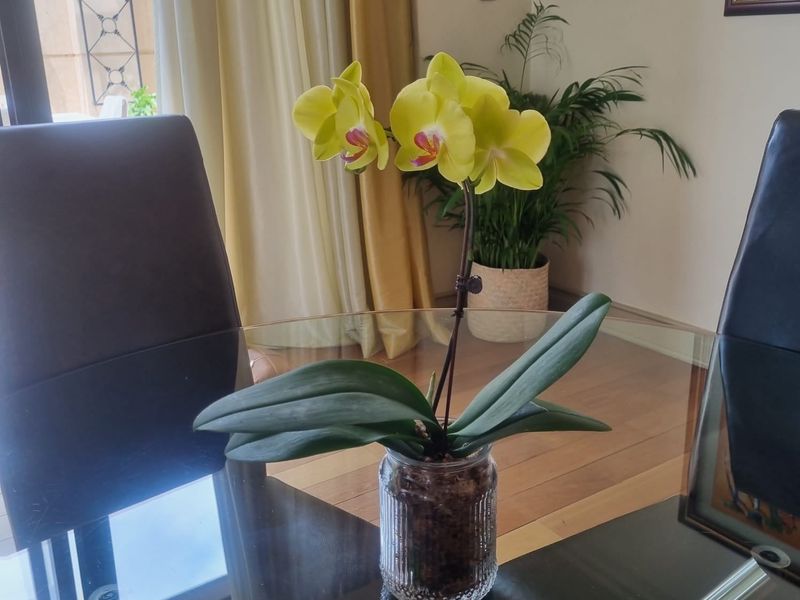 Apartment Rental Monthly In Sandton - Photo 5