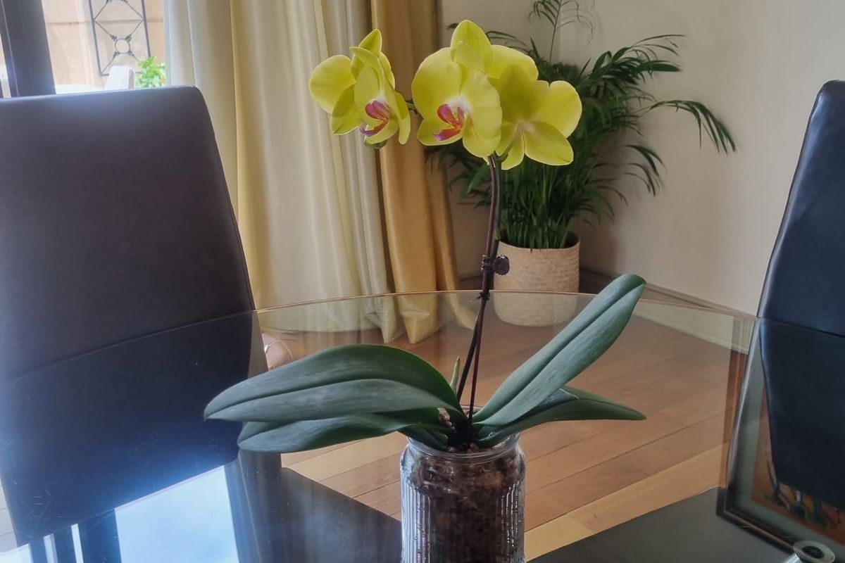 Apartment Rental Monthly In Sandton - Photo 5