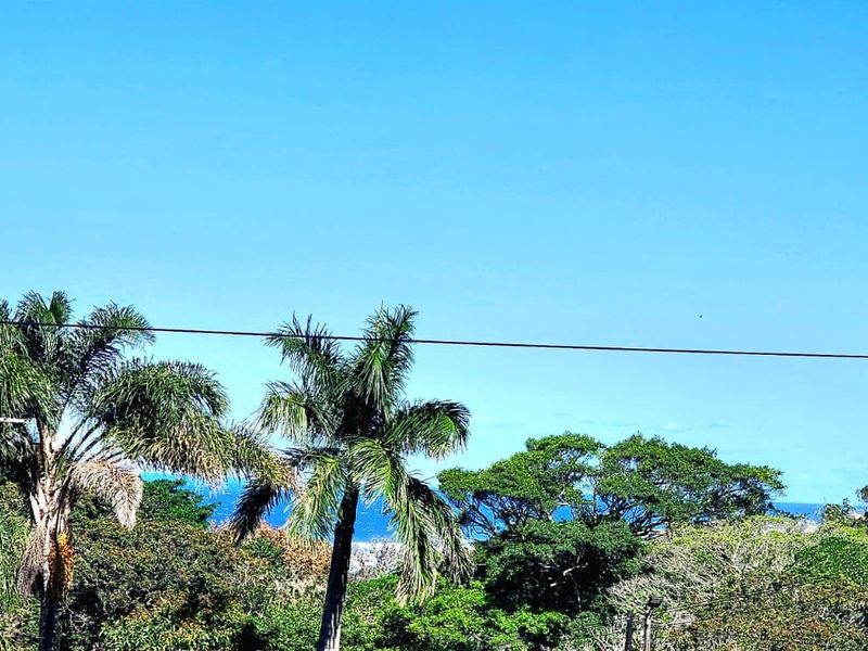 A scenic outdoor view featuring lush mature trees and a glimpse of the ocean under a clear blue sky.