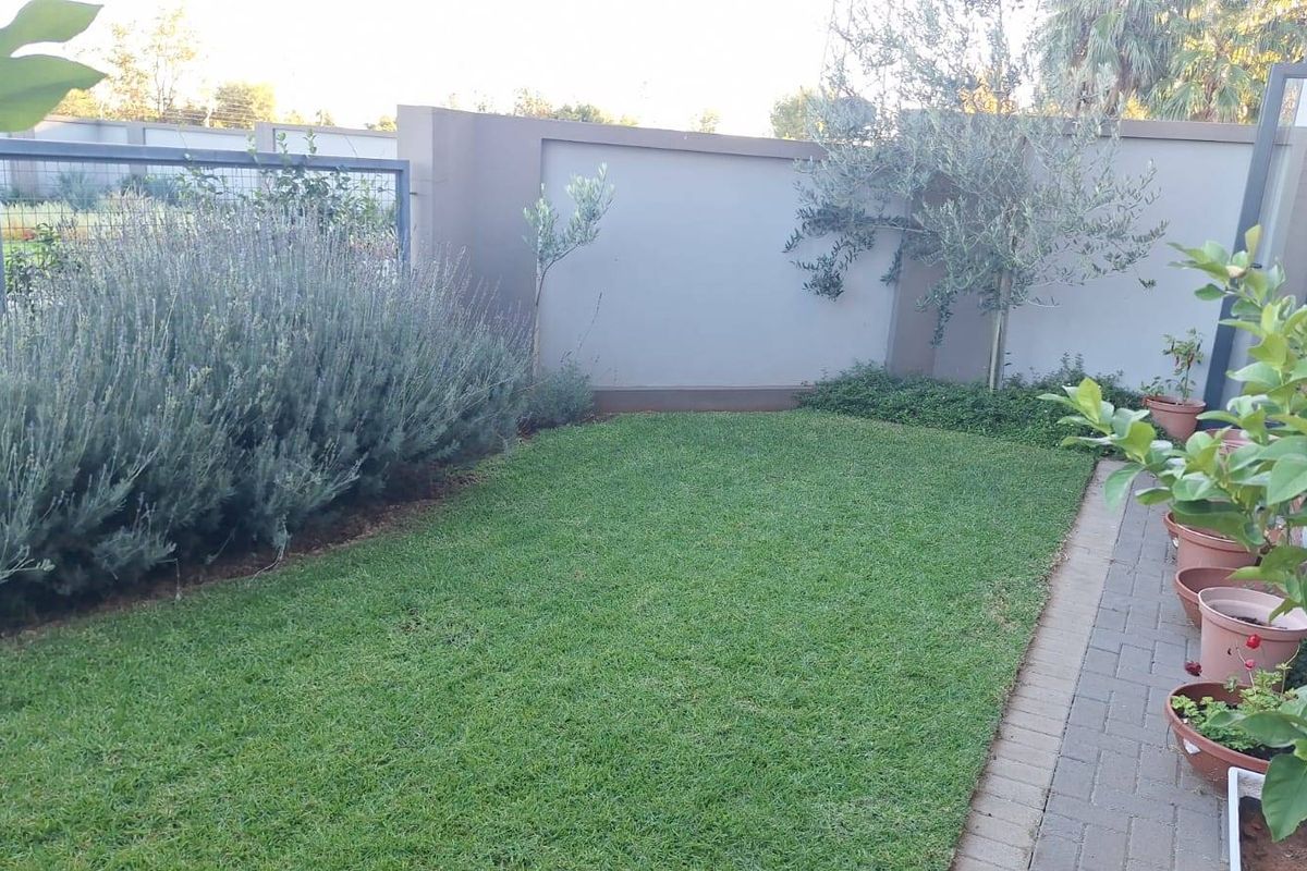 A well-maintained private rear garden featuring a neat lawn, paved walkway, and perimeter boundary wall.