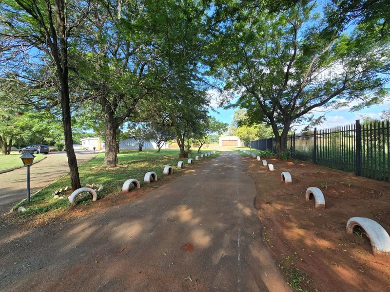 A wide asphalt driveway lined with mature trees and concrete curb markers, leading towards the property entrance and garage area.