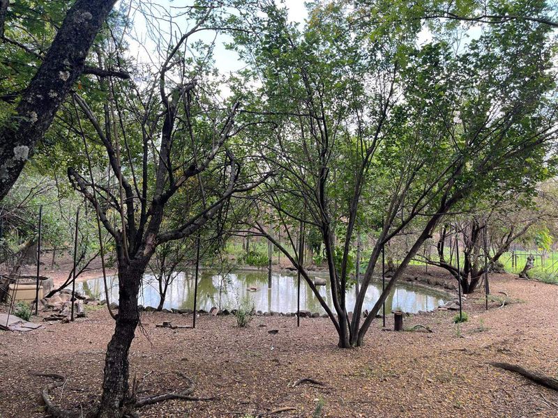 House For Sale In Pretoria - Photo 8