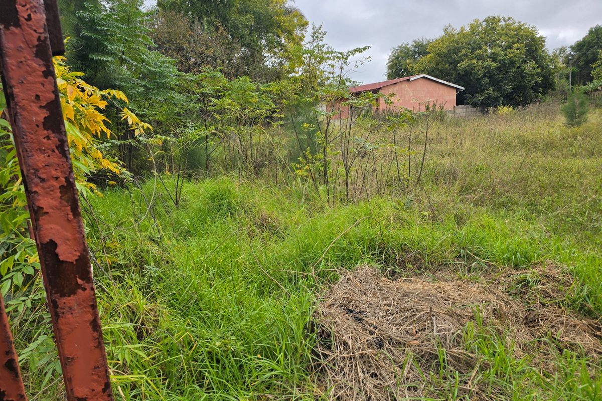 Vacant Land For Sale In Rayton - Photo 4