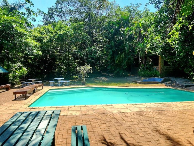 House For Sale In Port Shepstone - Photo 5