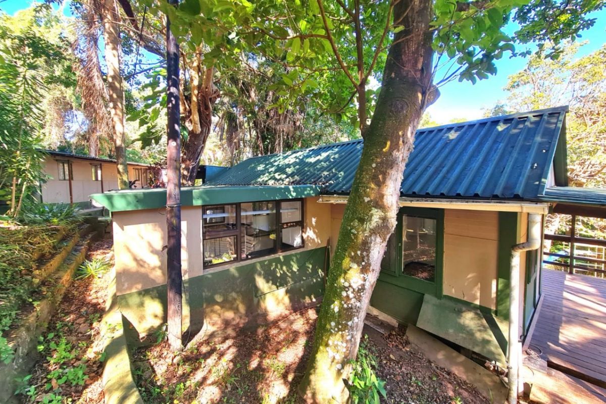 Rear view of a cottage featuring a corrugated metal roof, timber decking, and casement windows, set within a wooded garden area.