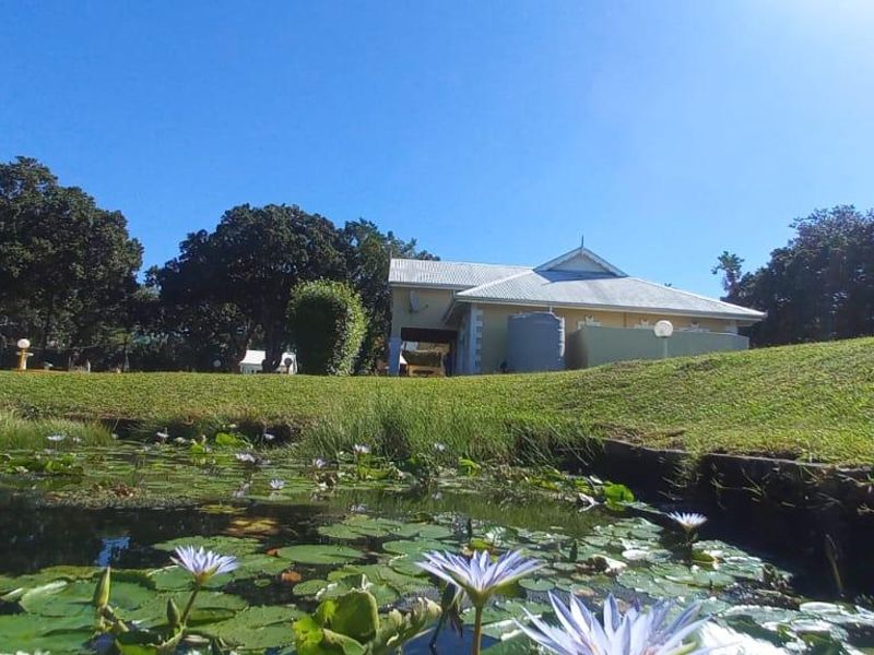 House For Sale In Port Edward - Photo 4