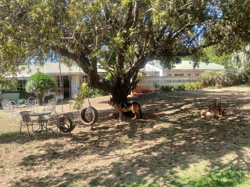 A spacious garden area featuring mature trees, a brick boundary wall, and access to the main dwelling through glass-paned doors.