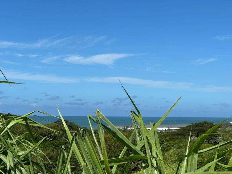 A scenic view of the ocean and coastline from the elevated vacant land property.