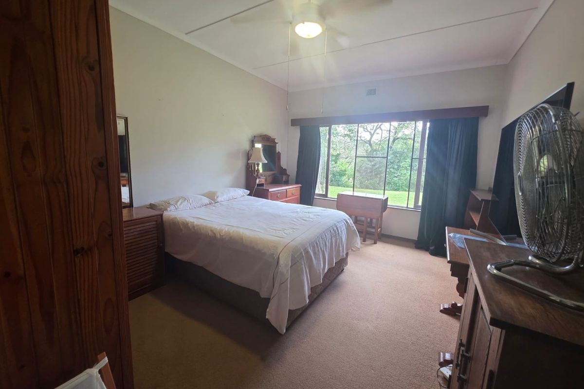 A spacious bedroom featuring carpeted flooring, a ceiling fan, and a large window providing natural light and garden views.
