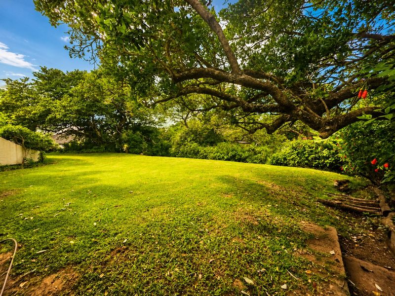 A spacious, well-maintained garden area featuring a lush green lawn and large, mature trees providing natural shade.