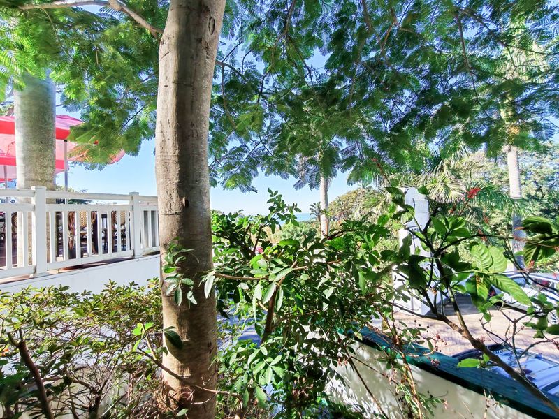 An elevated outdoor deck area featuring a white timber balustrade, surrounded by mature trees and lush garden foliage with a partial view.