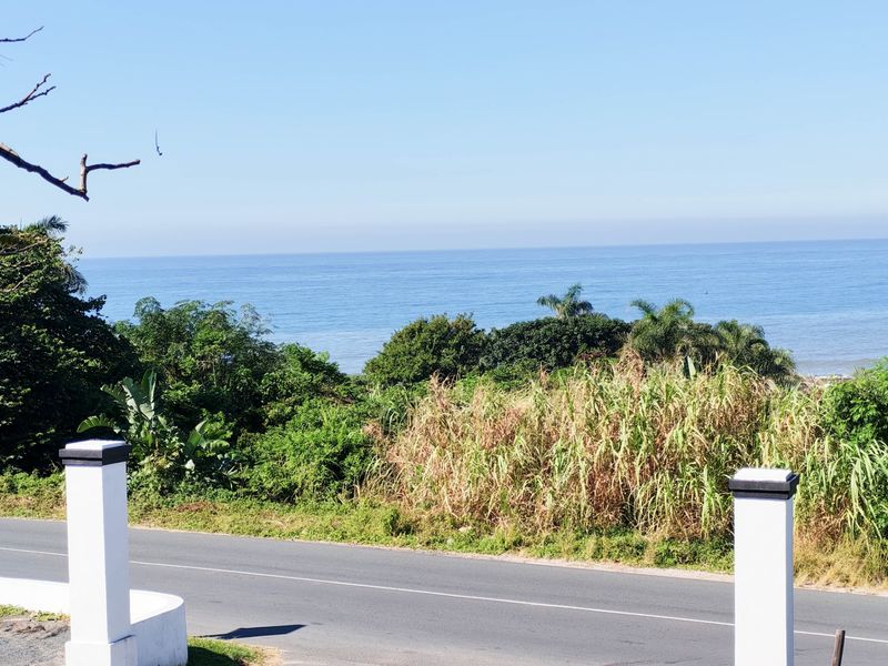 A scenic view overlooking a coastal road with lush greenery and a clear ocean horizon in the background.